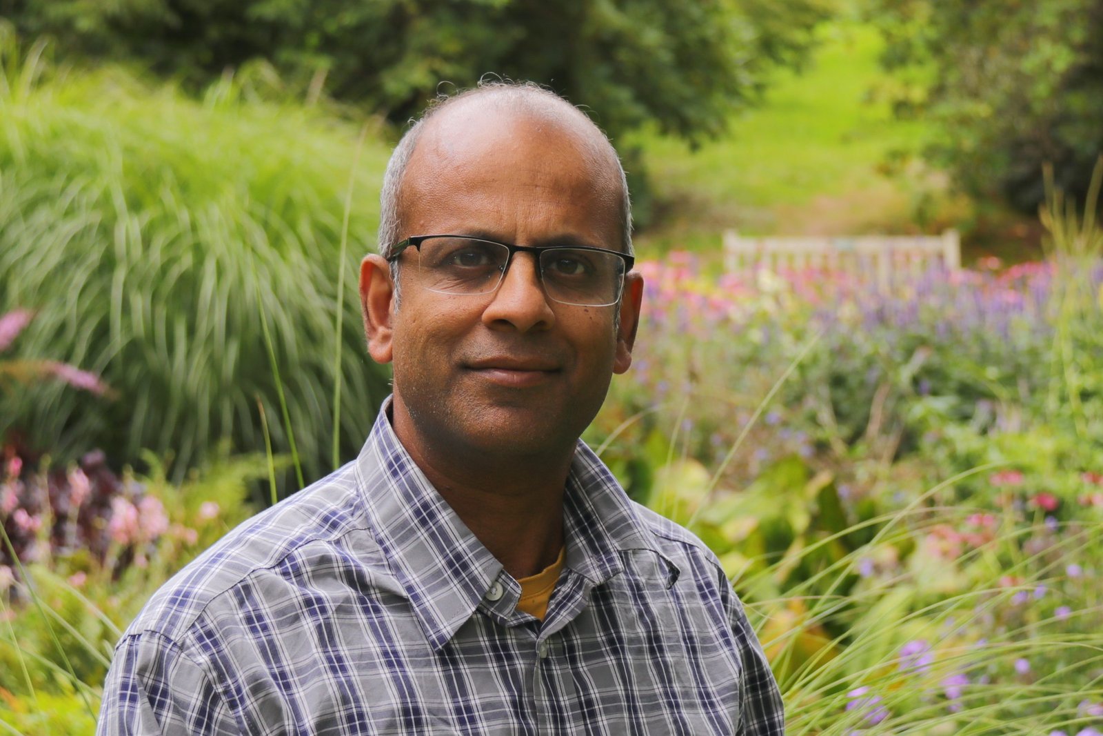 Wildlife Escapes, by Sumit Sahai