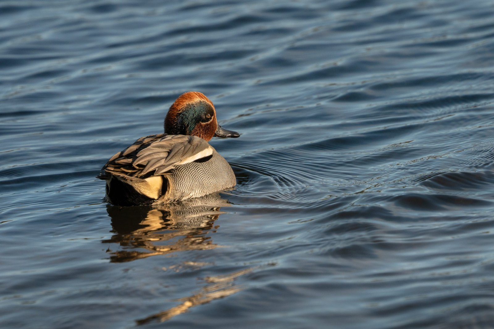 Andrewjames Impressionphoto 001