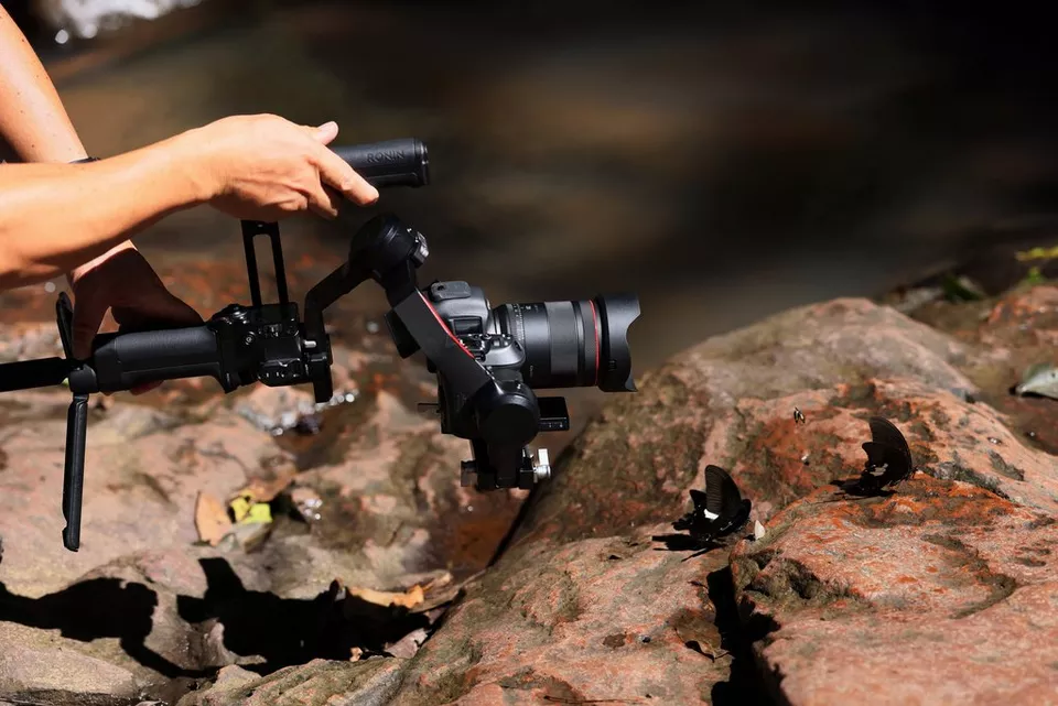 Canon rf 20mm f1.4 l vcm lens lifestyle (3)