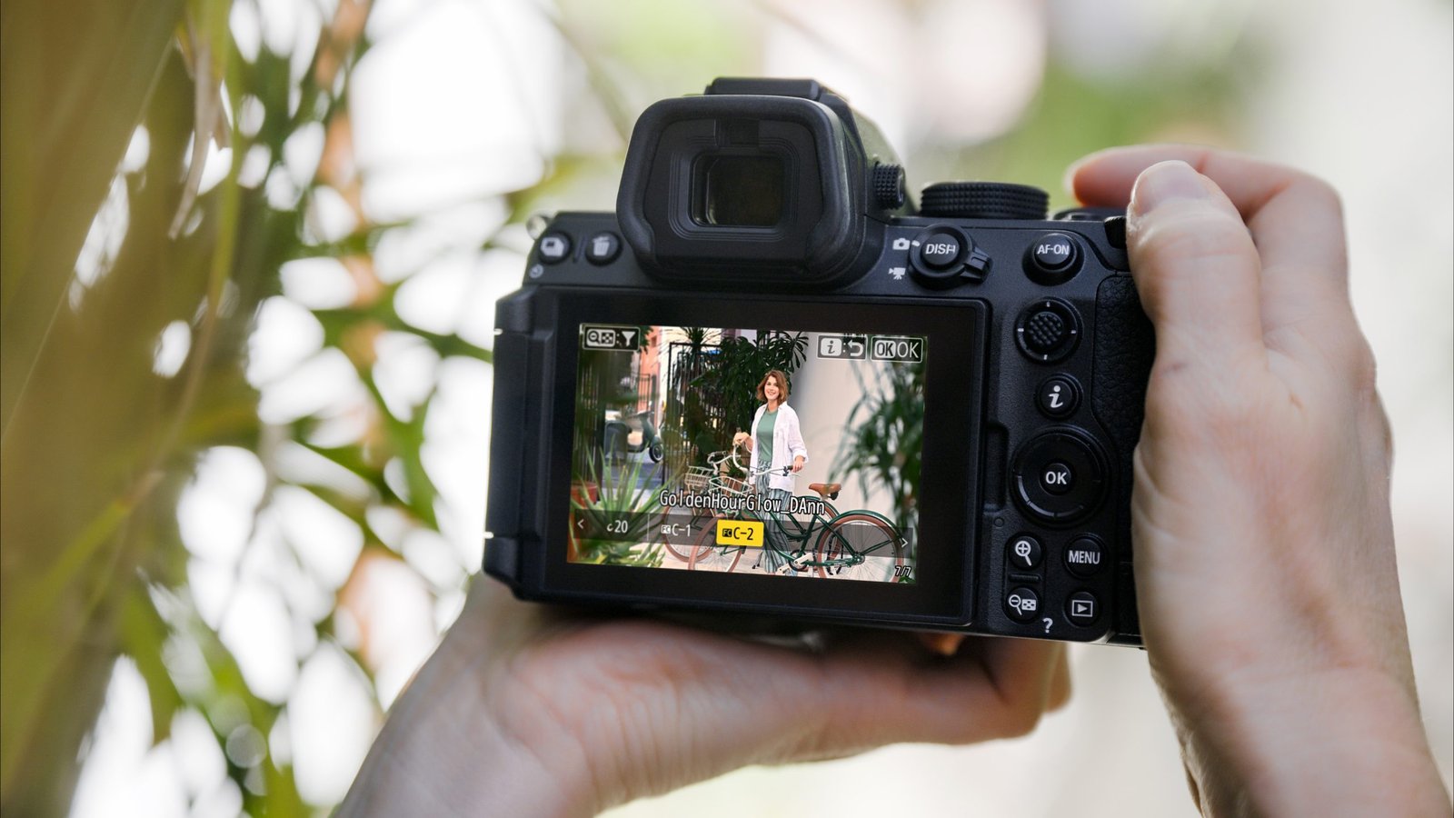 Z5ii 04 usdd 1376