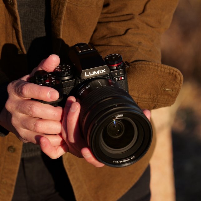 Panasonic LUMIX S1II vs S1IIE