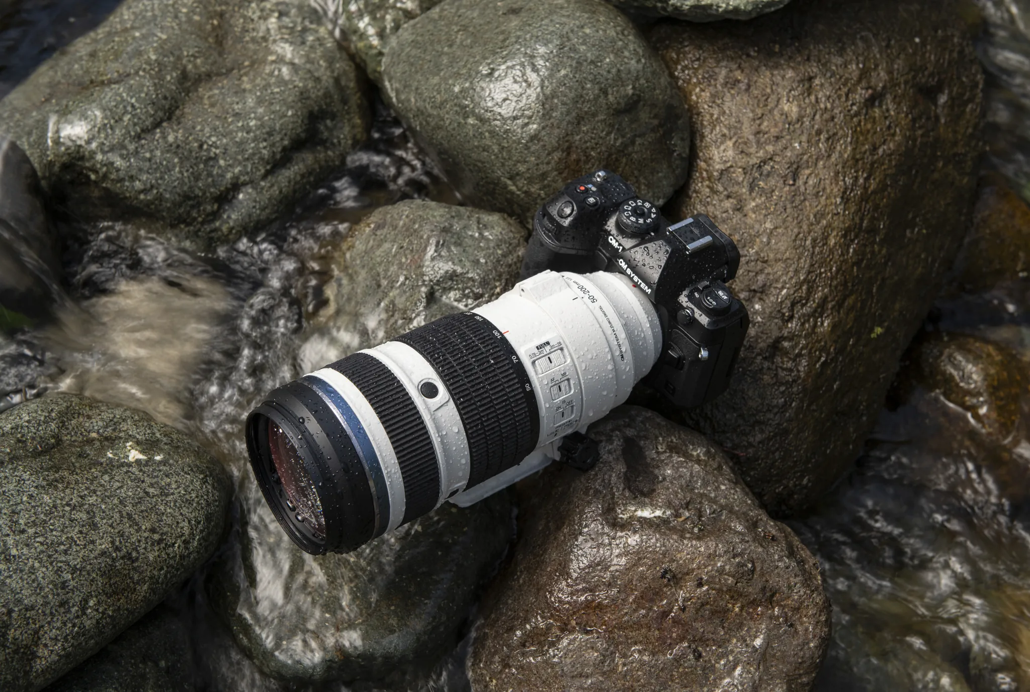 M.zuiko digital ed 50 200mm f2.8 is pro lens sample image (6)