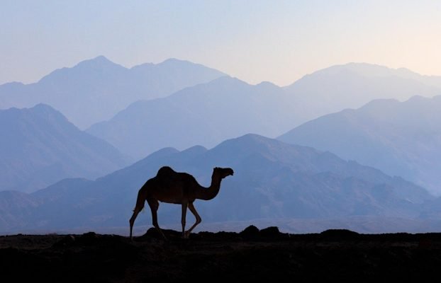 Interesting Stuff: A Landscape Photography Talk with Justin Minns